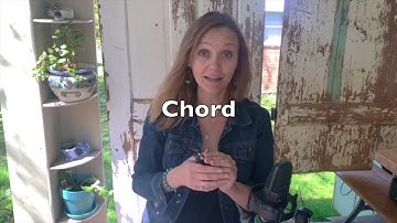 Beginning HARMONICA! Lesson 1.2 Holding, Blow, Chord | easy tutorial for beginners