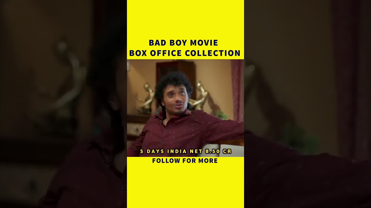 Bad boy box office collection, Bad boy movie box office collection, Box office collection,