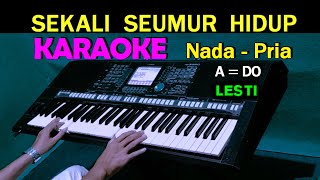 SEKALI SEUMUR HIDUP - Lesti | KARAOKE Nada Pria