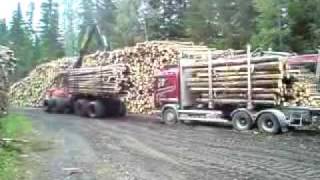 840.3 Vs Timber Truck
