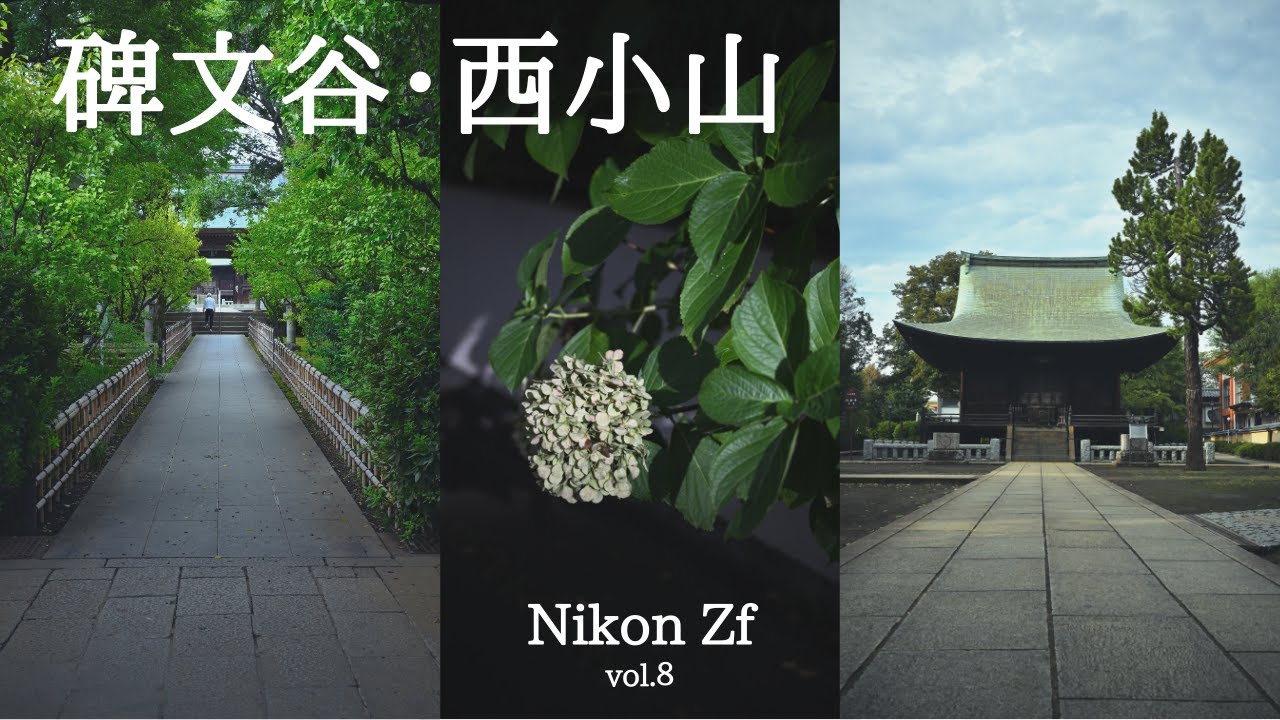 【第8話】Nikon Zfで撮る碑文谷・西小山｜夏祭りスナップ
