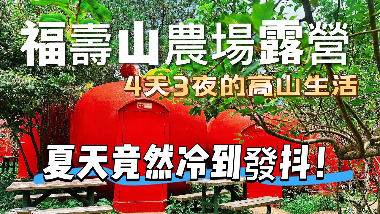 福壽山農場4天3夜露營記 山林、星空、蘋果香 高山夏夜冷到顫抖！