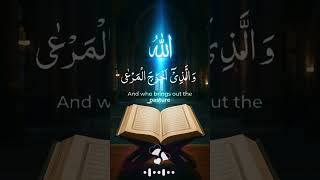 سَبِّحِ اسْمَ رَبِّكَ الْأَعْلَىٰ)“Created Perfectly — Nothing Random”(الَّذِي خَلَقَ فَسَوَّىٰ