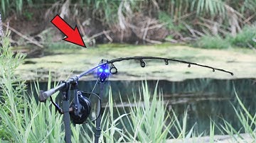 Carp Run COMPILATION 2022! PART 88! (Extreme Carp Run)