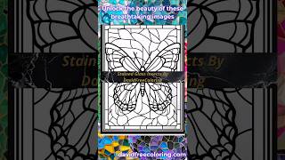 Celebrity Stained Glass Insects Coloring Pages | Coloring Book for Adults #coloringbook #colouringasmr Profile