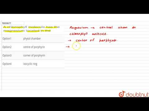 Video: Waar bevinden zich chlorofylmoleculen in de quizlet over chloroplasten?