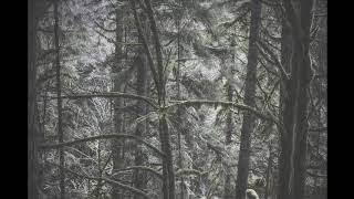 Celebrity Cover - Lost on You - LP - Eric Klein Net Worth