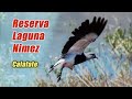 Reserva Laguna Nimez - Calafate - Patagonia Argentina