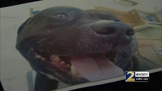 Family claims police excessive force in dog shooting