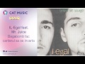 IL-Egal feat. Mr. Juice - Bagabontii fac cartierul sa se invarta