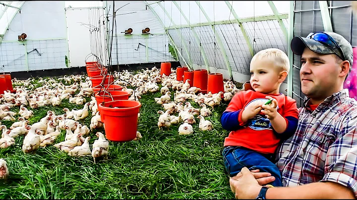 PASTURED POULTRY PROFITS by Joel Salatin