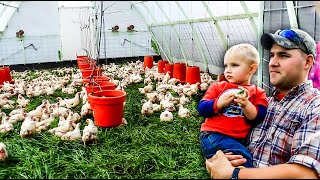 PASTURED POULTRY PROFITS by Joel Salatin