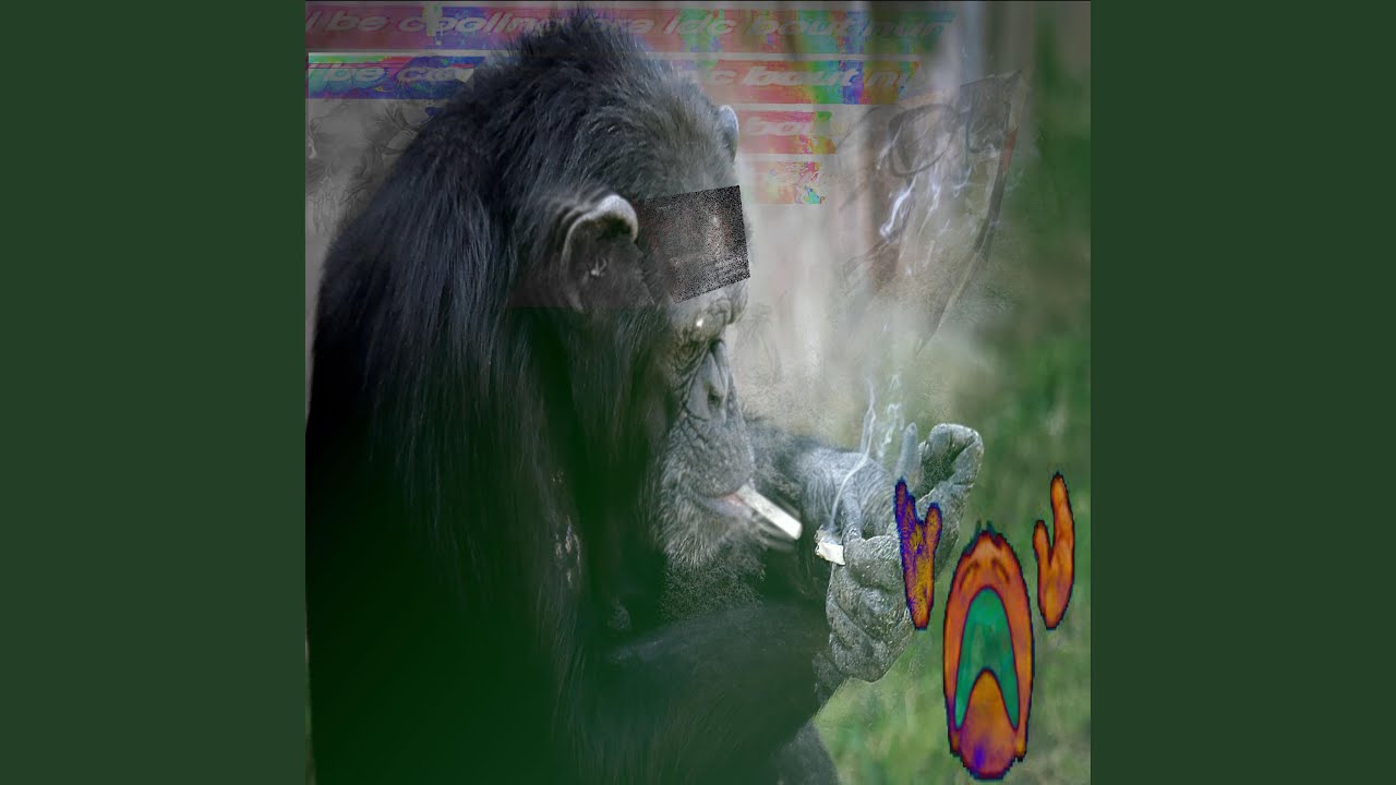 Watch spunch on YouTube Watch spunch on YouTube