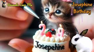 Josephine Happy Birthday Song With Names Adorable Cute Cat