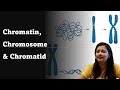 Difference between Chromosome, Chromatin and Chromatid NEET | CSIR NET | GATE | DBT JRF | UGC NET