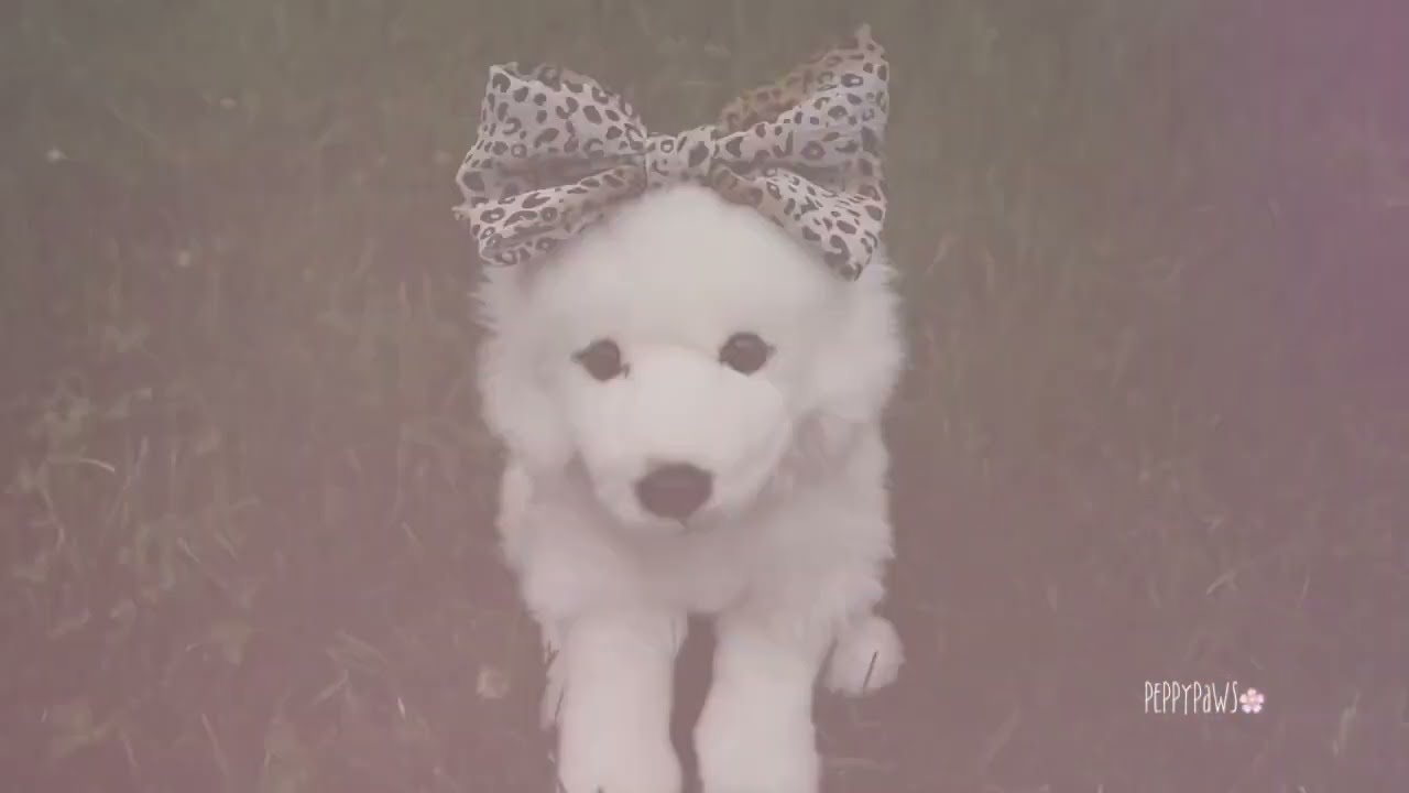 Starships Webkinz Music Video (2016 remake)