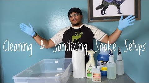 Cleaning & Disinfecting Reptile Cages and Enclosures