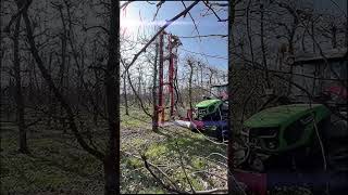 Rinieri Crf Orchard Pruner