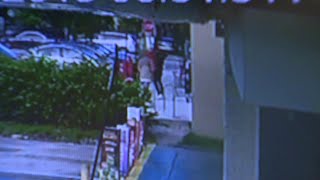 Fatal shooting caught on camera outside Family Dollar store in Miami Gardens