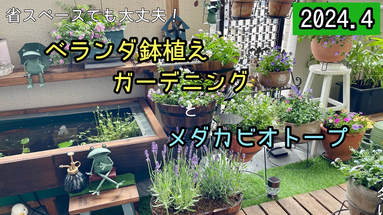 【ガーデニング】【ビオトープ】ベランダの省スペースでもガーデニング・ビオトープを楽しもう！