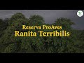 Reserva ProAves Ranita Terribilis | Fundación ProAves de Colombia