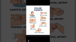 Points For Taking Pulse 💗 #education #medicosstuff #healthtips #medicalschoolcommunity #viral #yt
