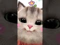kuch to bat h mujme😛🫣#cutekitty#catvideos#pets#funny#viralvideo#trendingreels#selfobessed#viralvideo