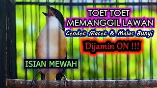 SUARA TOET TOET SAMBUNG ISIAN MEWAH DIJAMIN LANGSUNG ON, PANCINGAN CENDET GACOR ISIAN MEWAH