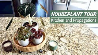 Kitchen Houseplant Tour + Plant Propagation Tour | What I'm Currently Growing in My Kitchen