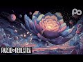 Pareidorchestra - Chromic Bloom // Experimental Music - Electronic Progressive Fusion