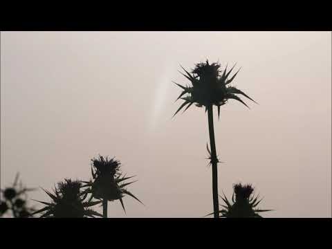 Arso Jada Chol U Sebar Bu 2021 New Cover جاده جول و سيبةر بوو 