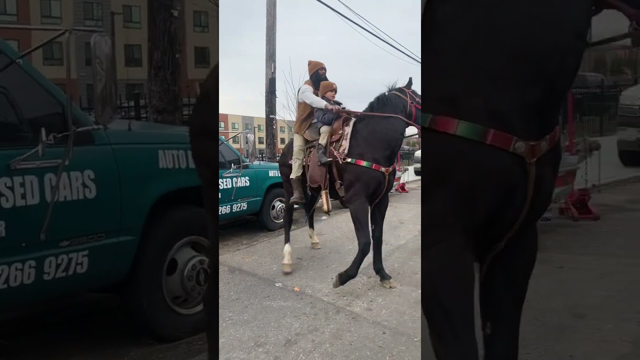 Real life horseman 