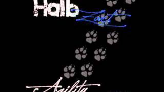 Halbzart Agility 2010 (Studio version)
