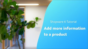 Add more information to a product (Shopware 6 Tutorial EN)