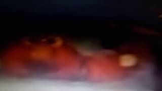 DSCN1137.MOV