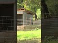 Madison County Deadly Shooting