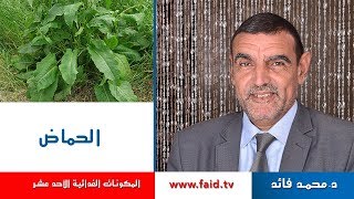 Download Dr Faid | الحماض| الخضر| المكونات الغذائية الأحد عشر | دكتور محمد فائد Video MP3 Dr Faid | الحماض| الخضر| المكونات الغذائية الأحد عشر | دكتور محمد فائد