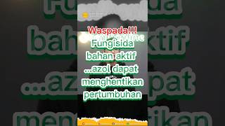 Ketahui fungsi dan efek sampingnya!!!  #fyp #viral #viral2023viralvideo🔥😘🔥