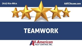 Our Core Values: Teamwork