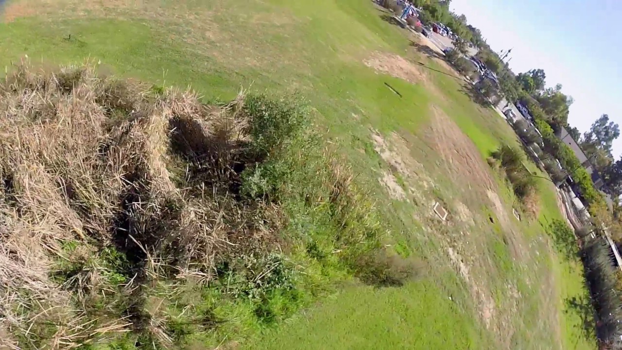 RaceFlight Revolt Freestyle