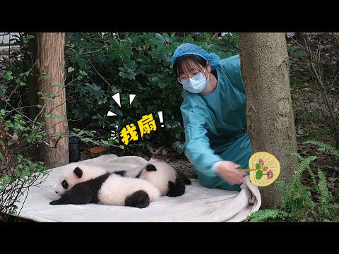 26.10.07 第一次听到崽崽小奶音！奶妈瞬间开启硬核‘驱虫模式’：走开！别叮我宝！🐼