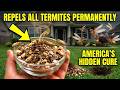 Bury These 4 Items In Your American Yard — REPELS ALL Termites Permanently (Safe For Pets)