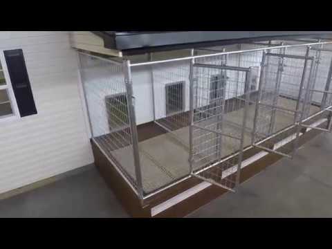 commercial-dog-kennel