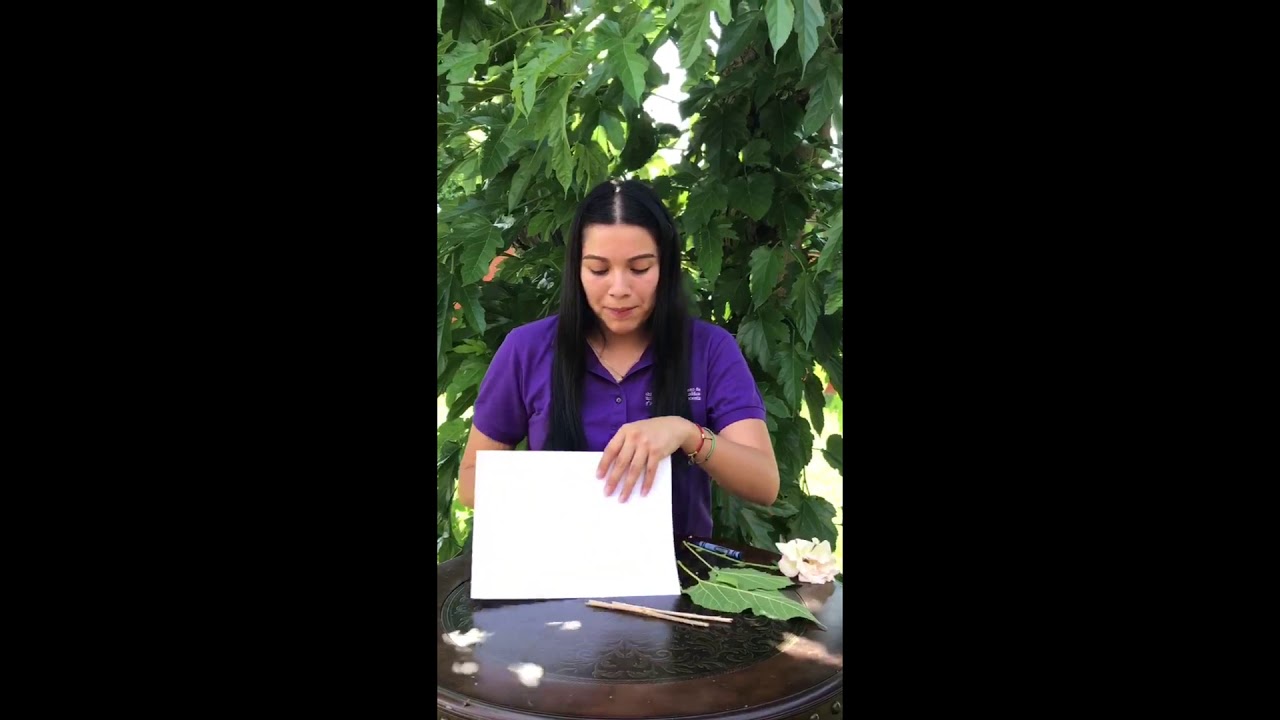 Leaf Rubbing (Spanish) YouTube