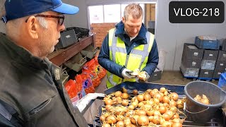 FARMVLOG #218 gele uien tarreren bij Waterman Onions