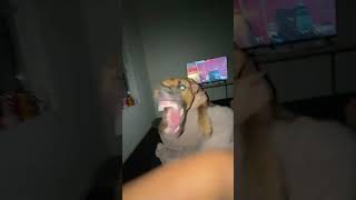 .Johnson For Anyone That Thinks They Can Touch His Mama, Good Luck