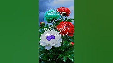 SURAH AT-TIN (سورة التين) 🤍 Egzon Ibrahimi ✨#egzonibrahimi #surahattin