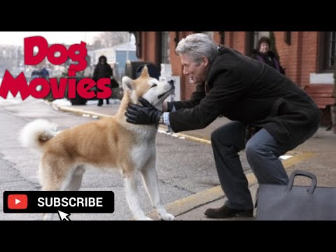 top-10-dog-movies