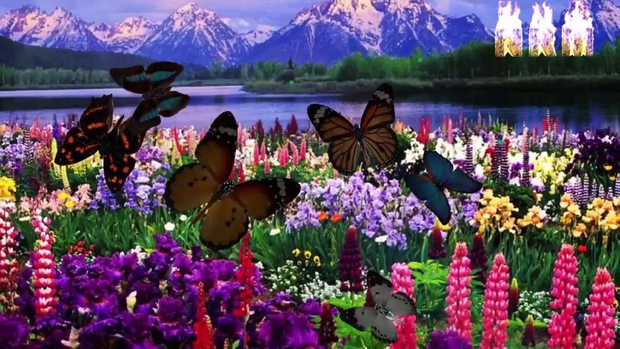 Nature Fantastic Naturaleza Fantastica