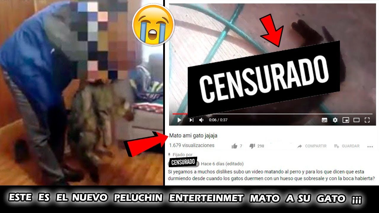 Peluchin Entertainment Mata A Su Gato Video Completo